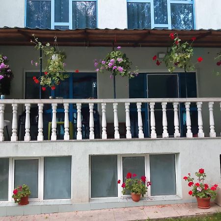 ホテル Casa Albastra Drumu Carului エクステリア 写真