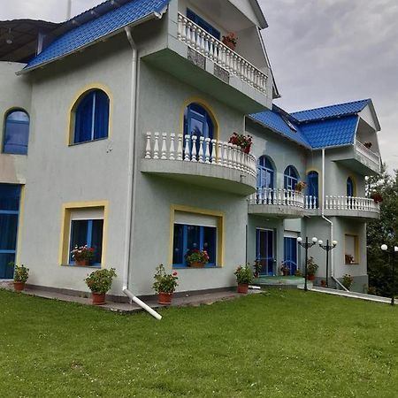 ホテル Casa Albastra Drumu Carului エクステリア 写真