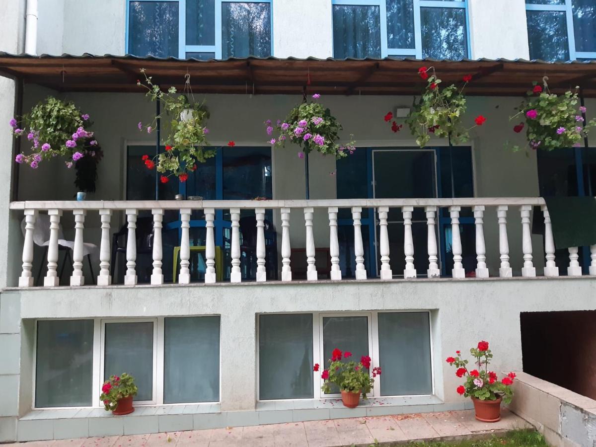 ホテル Casa Albastra Drumu Carului エクステリア 写真