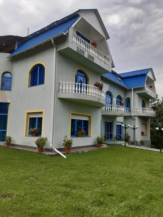 ホテル Casa Albastra Drumu Carului エクステリア 写真