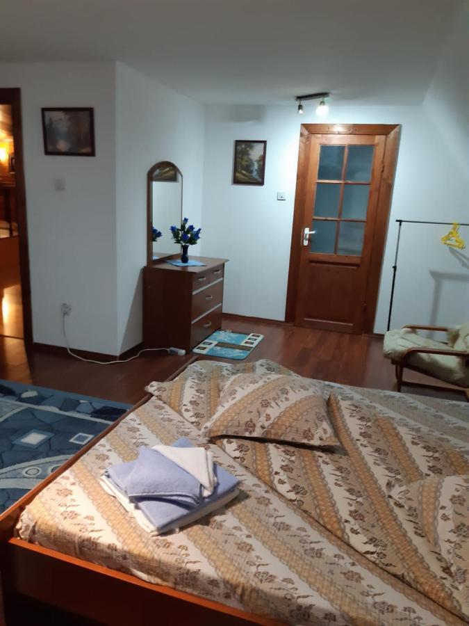 ホテル Casa Albastra Drumu Carului エクステリア 写真
