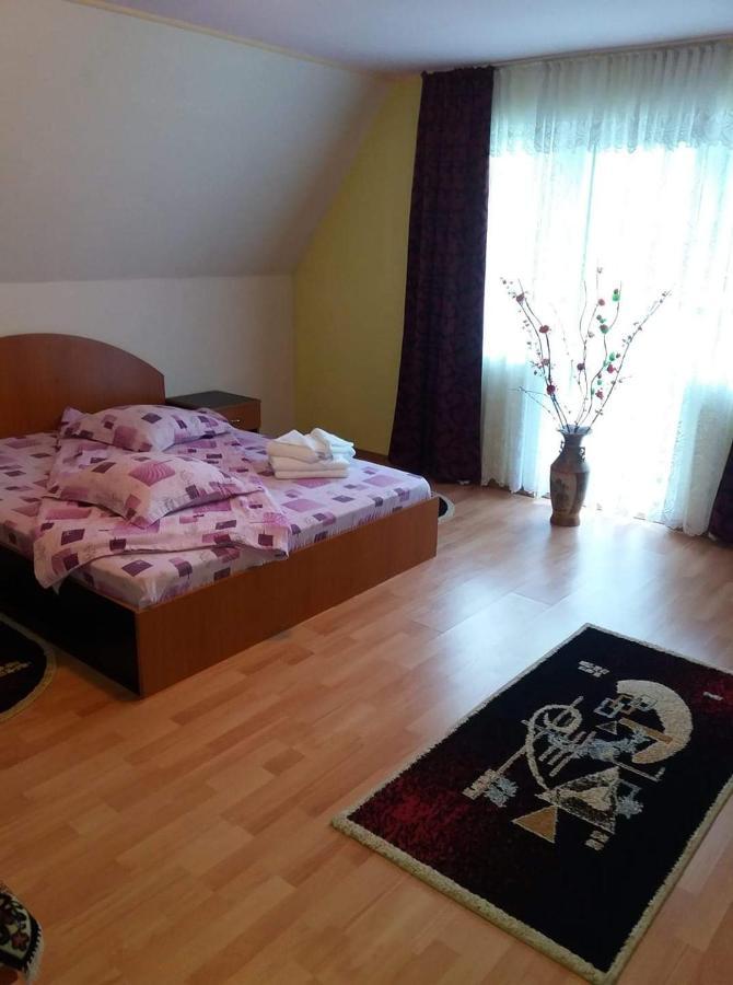 ホテル Casa Albastra Drumu Carului エクステリア 写真