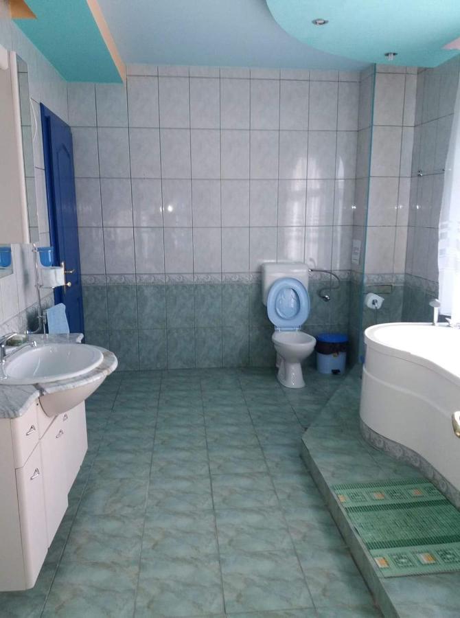 ホテル Casa Albastra Drumu Carului エクステリア 写真