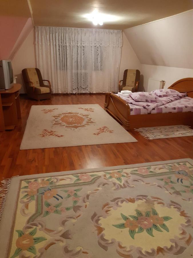 ホテル Casa Albastra Drumu Carului エクステリア 写真