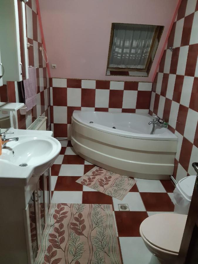 ホテル Casa Albastra Drumu Carului エクステリア 写真