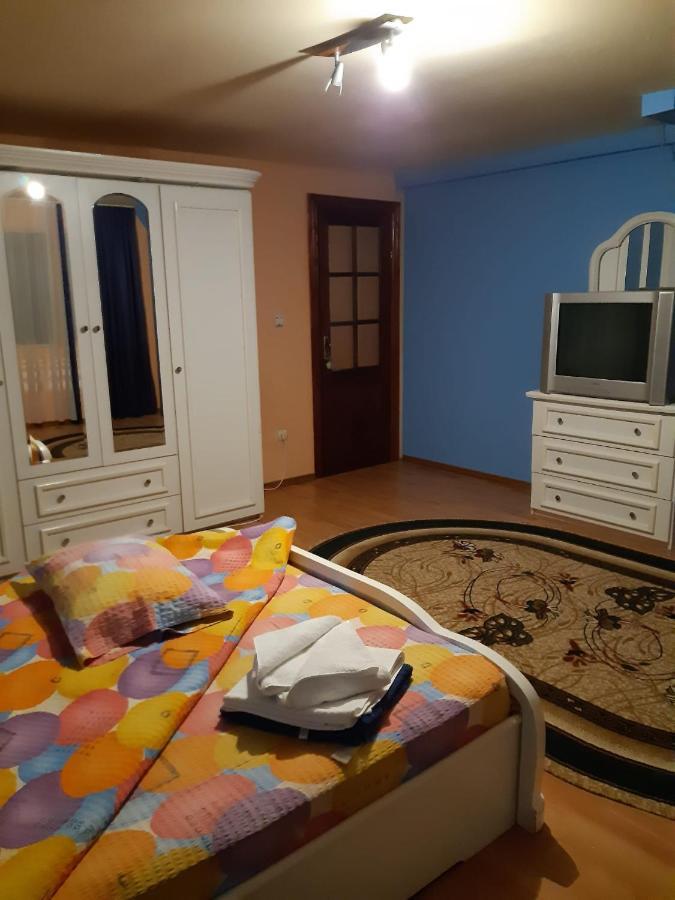ホテル Casa Albastra Drumu Carului エクステリア 写真