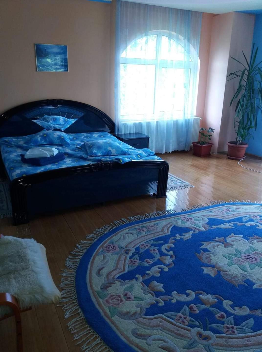 ホテル Casa Albastra Drumu Carului 部屋 写真